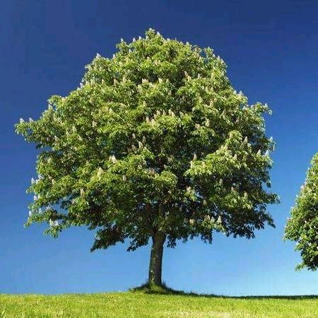 活成自己想要的样子