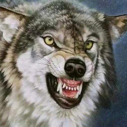 🦚🐇潇洒哥🤴🐰🐰