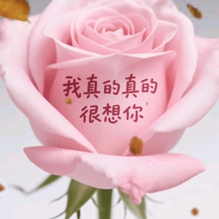 独宠你一人💋