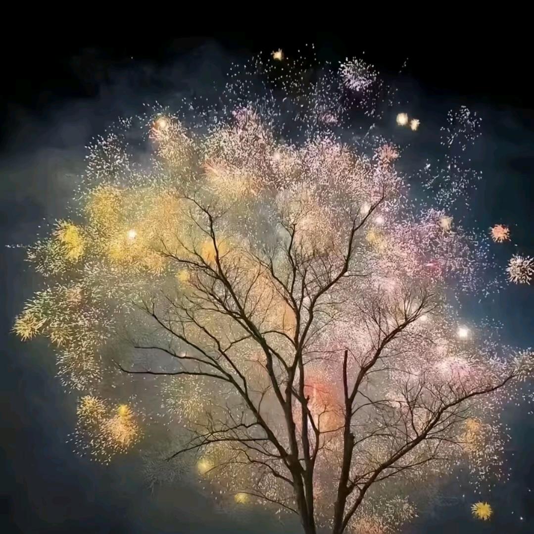 山海花开不是你