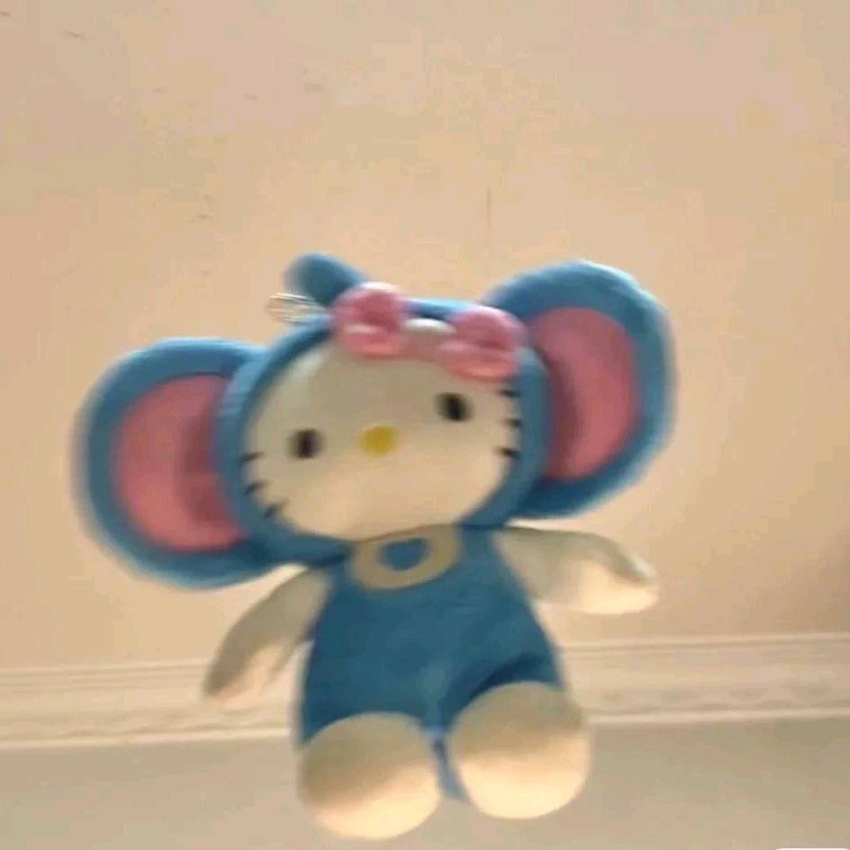 暴富小猫