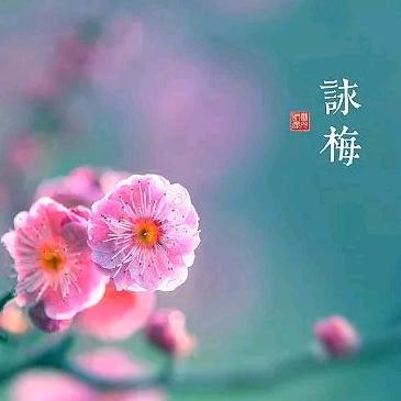春天