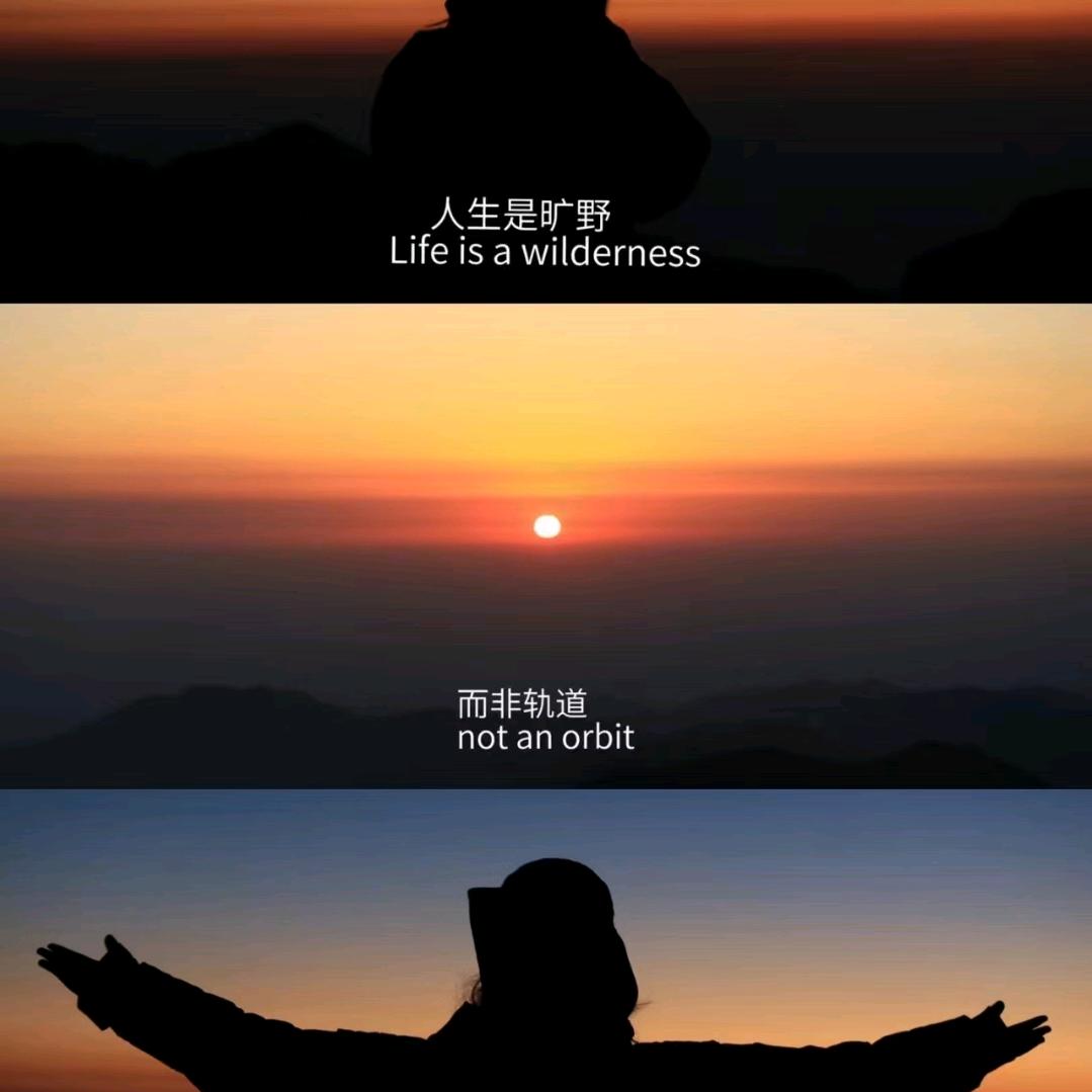雨过天晴3594