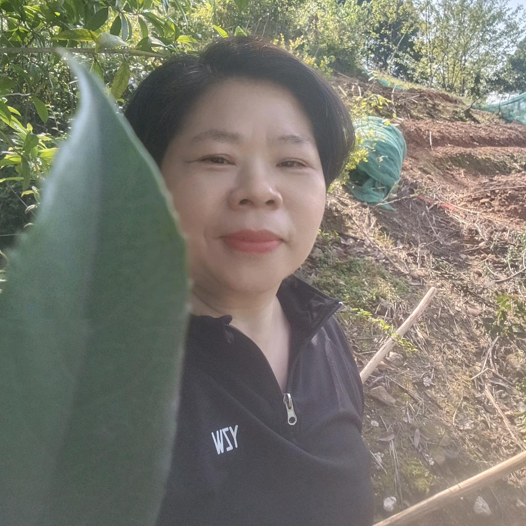 舂暧花开的日常生活