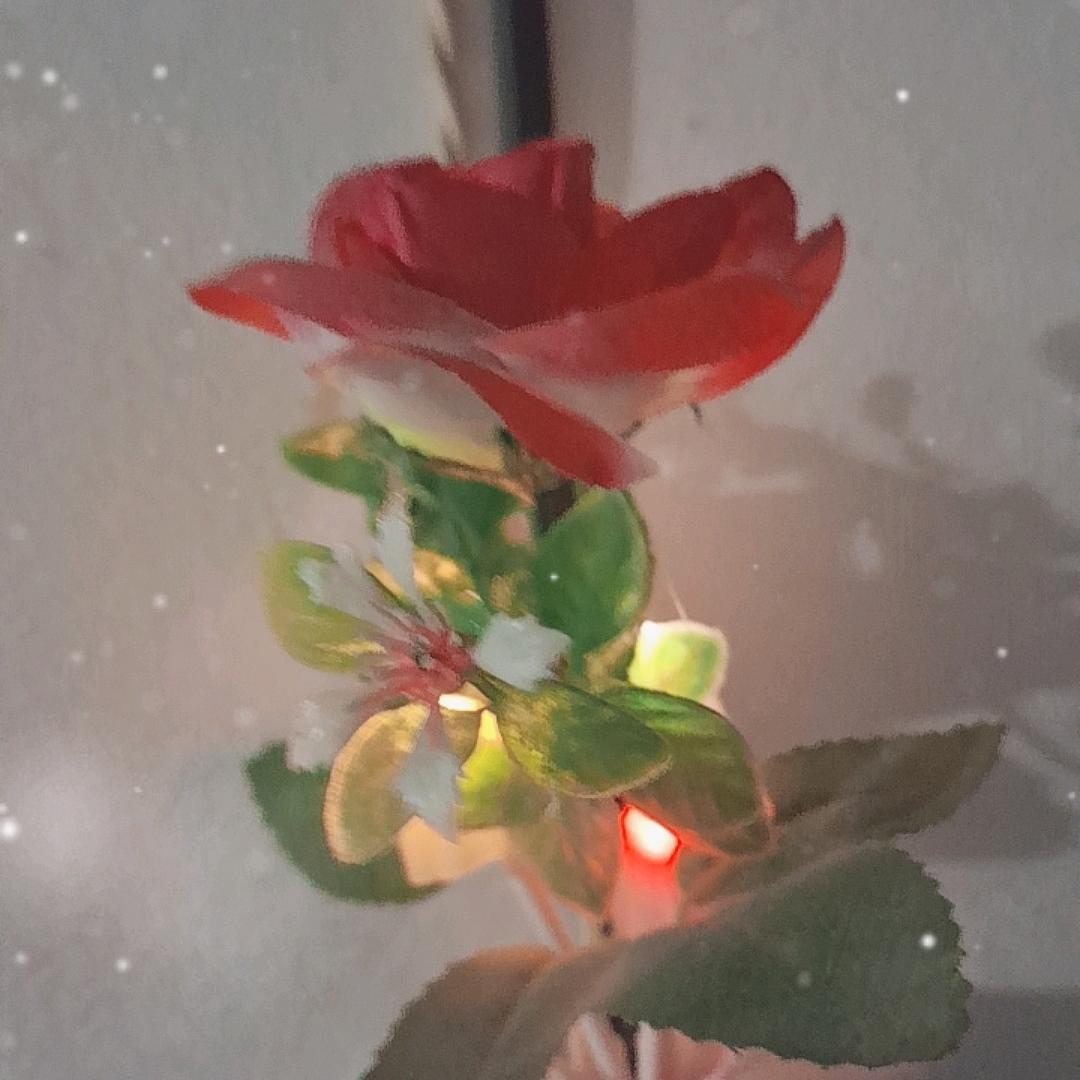 雪落无尘