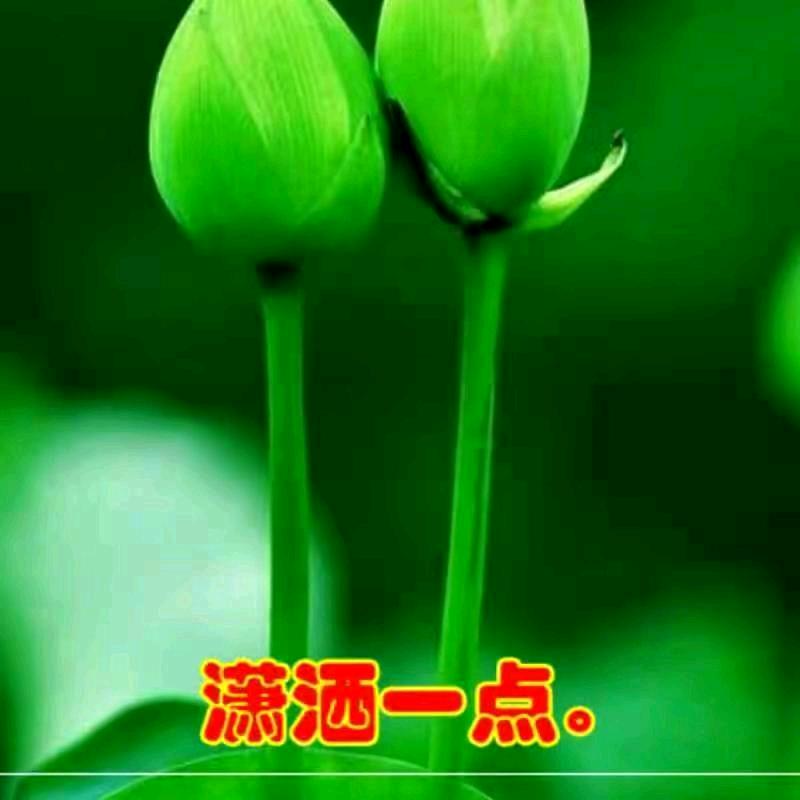 花开花落.