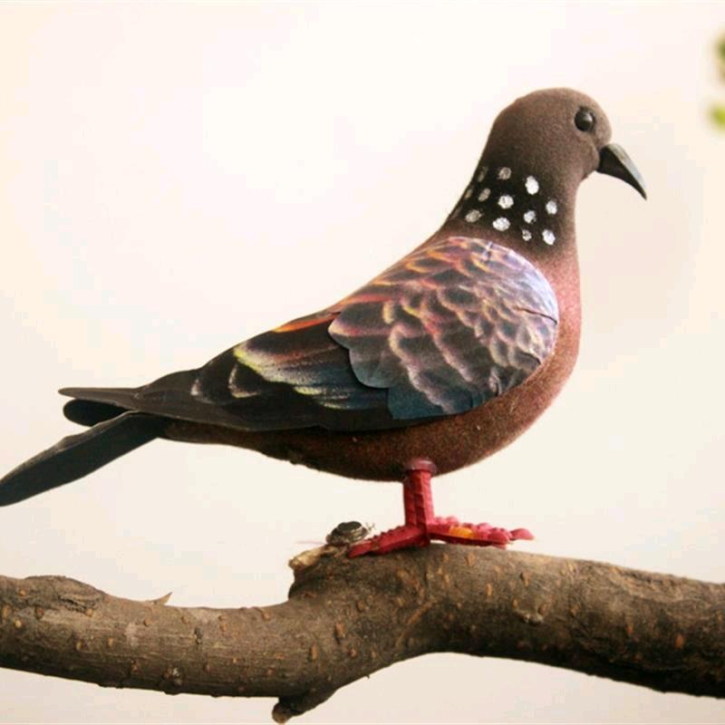 百年养鸟不伤害