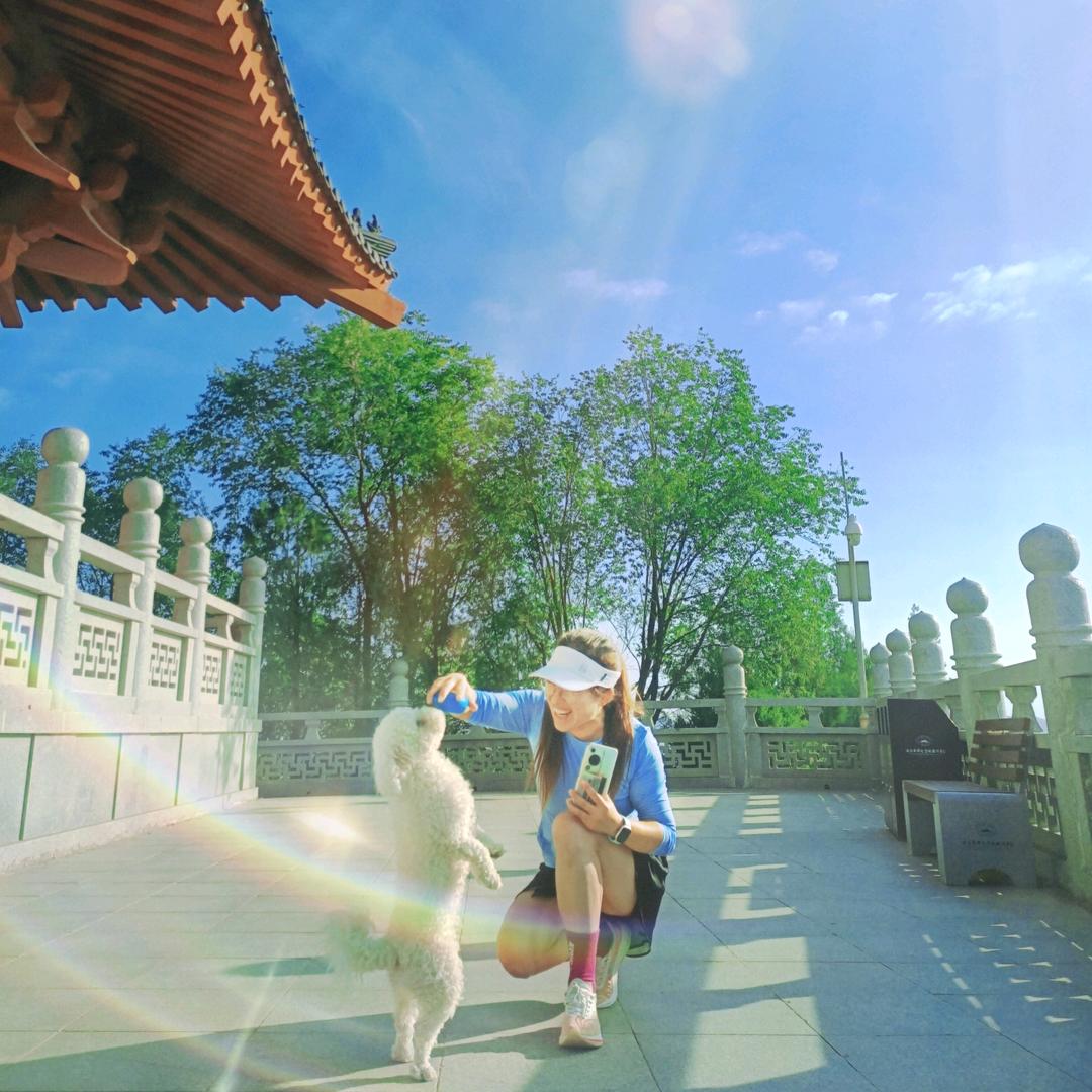 月光兔