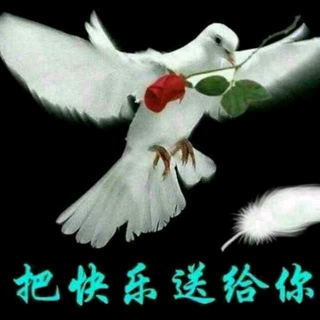 隔壁老王👍👍👍头像