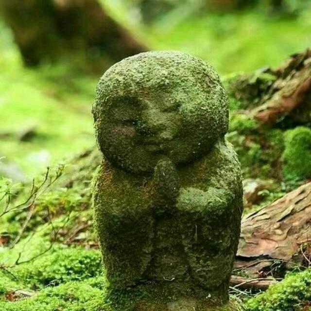 牛少。