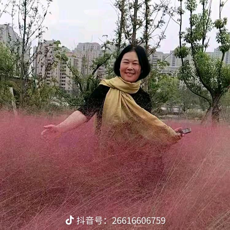 如华