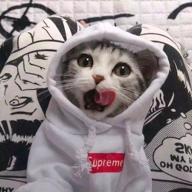 下山的你