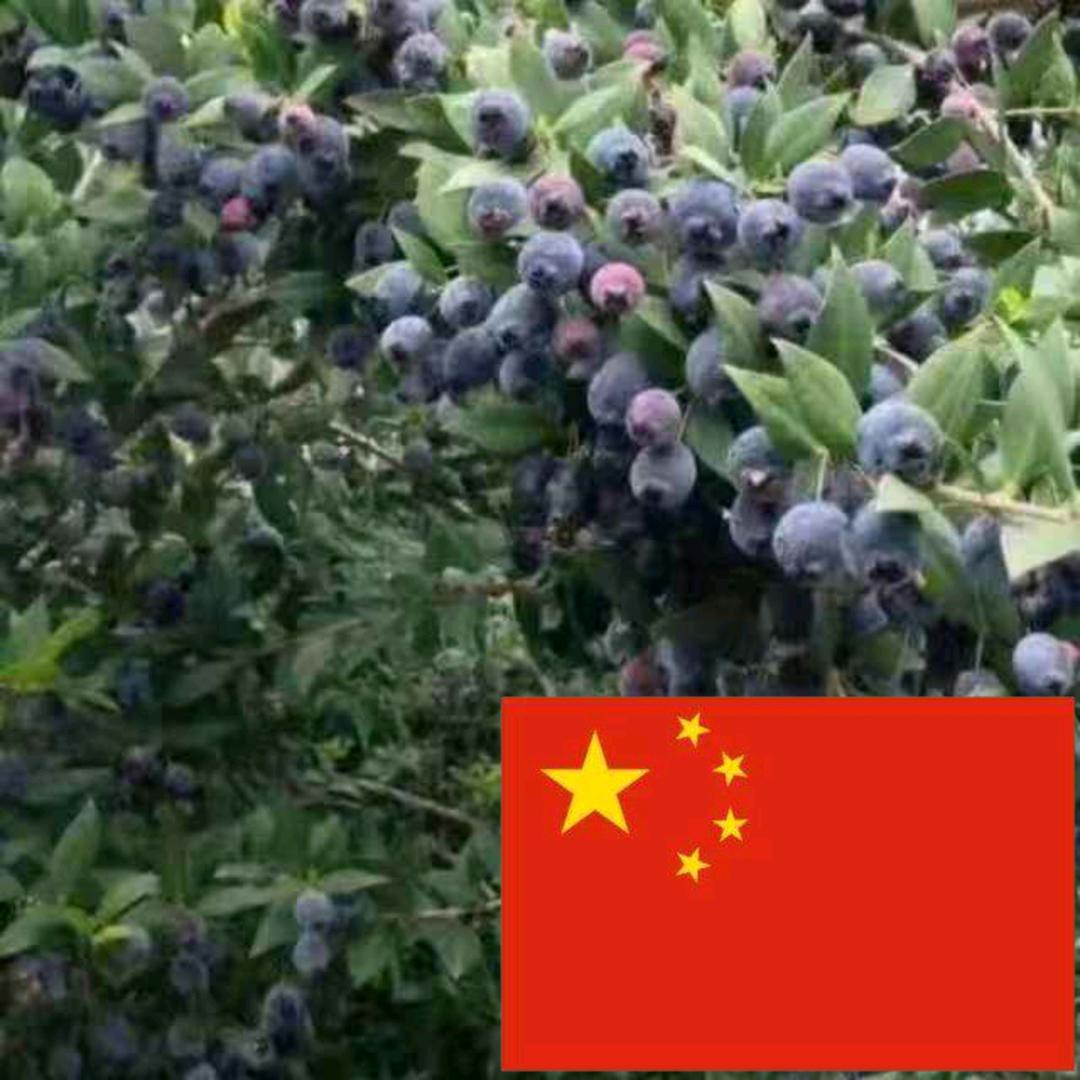 陈亮五金店