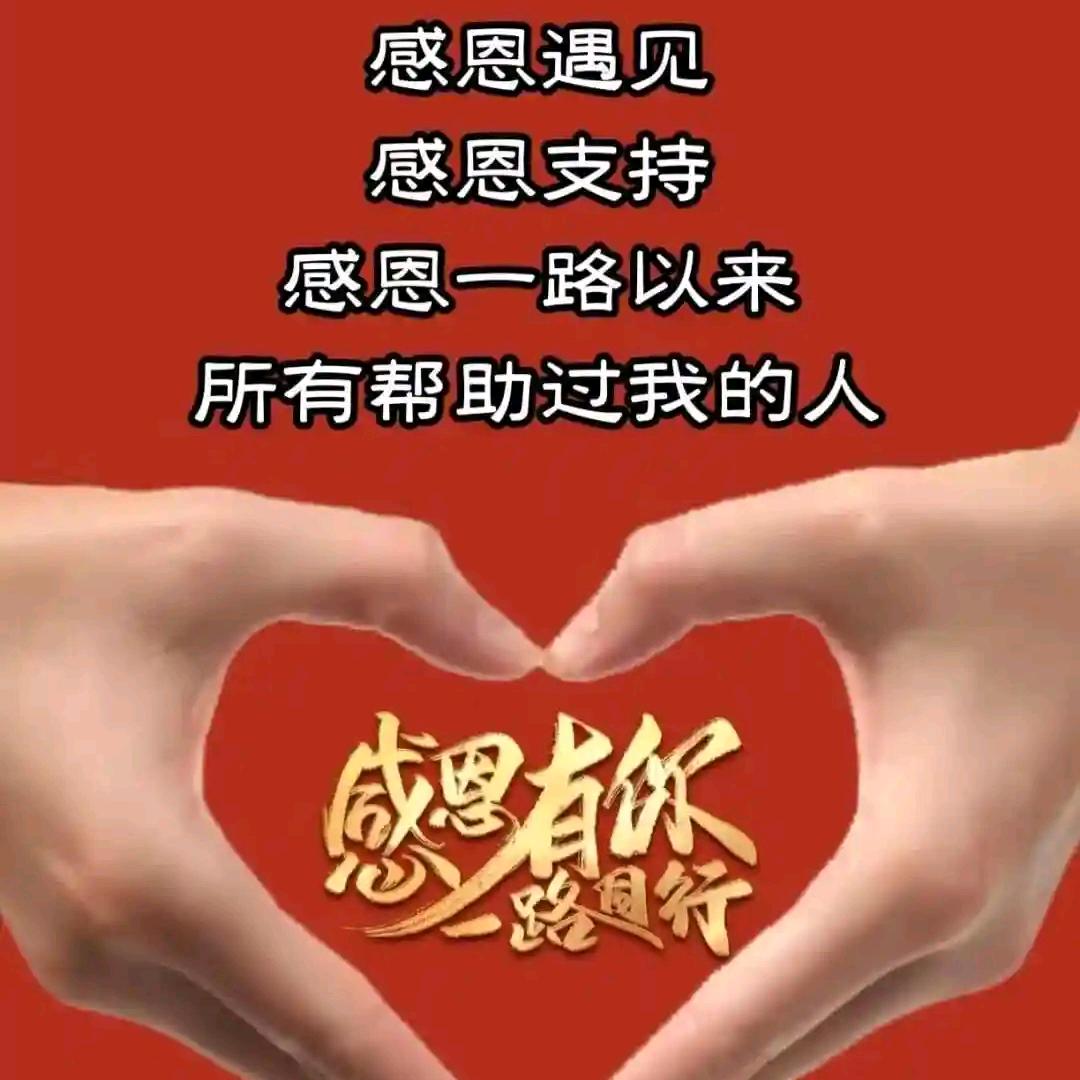 感悟💓人生