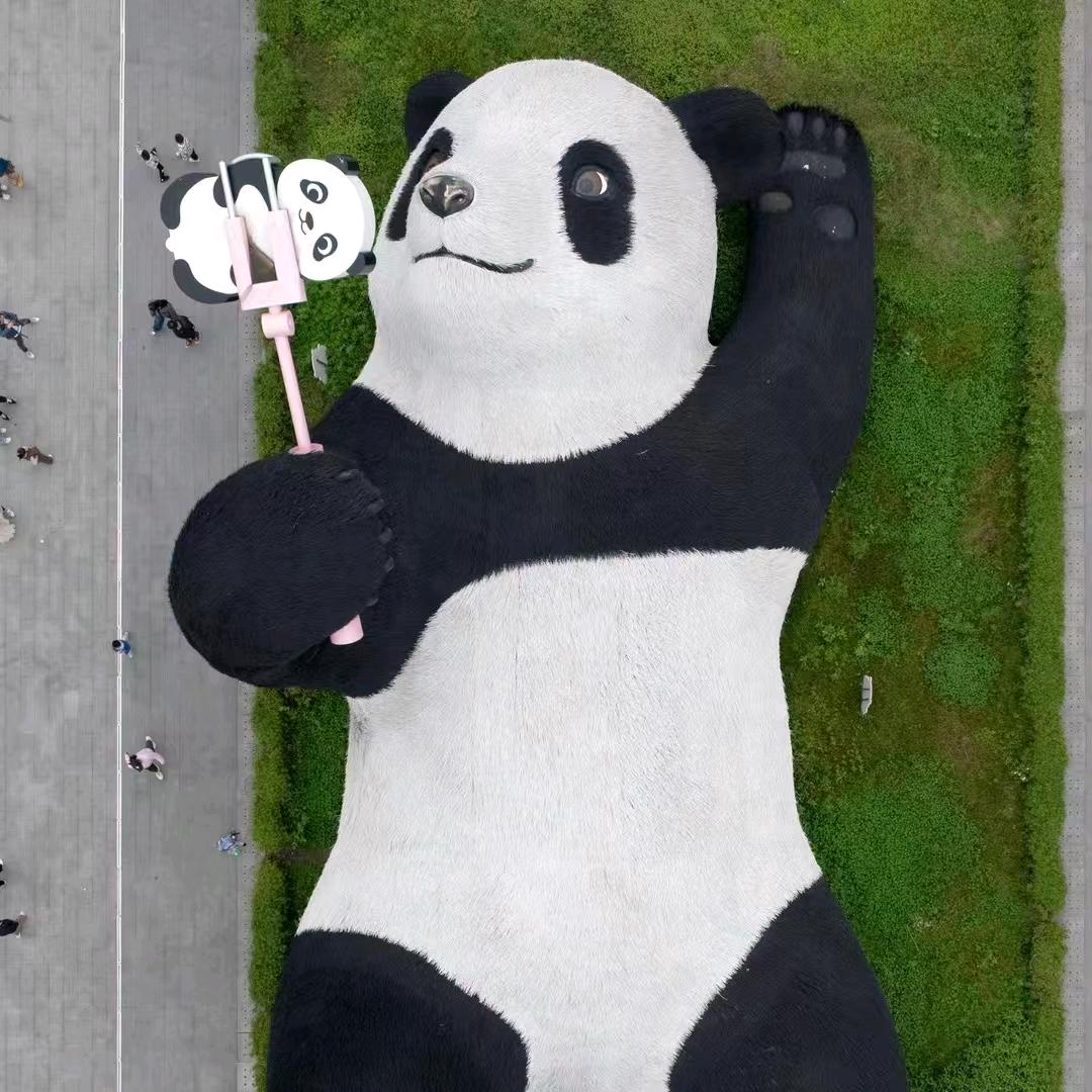 换个心情