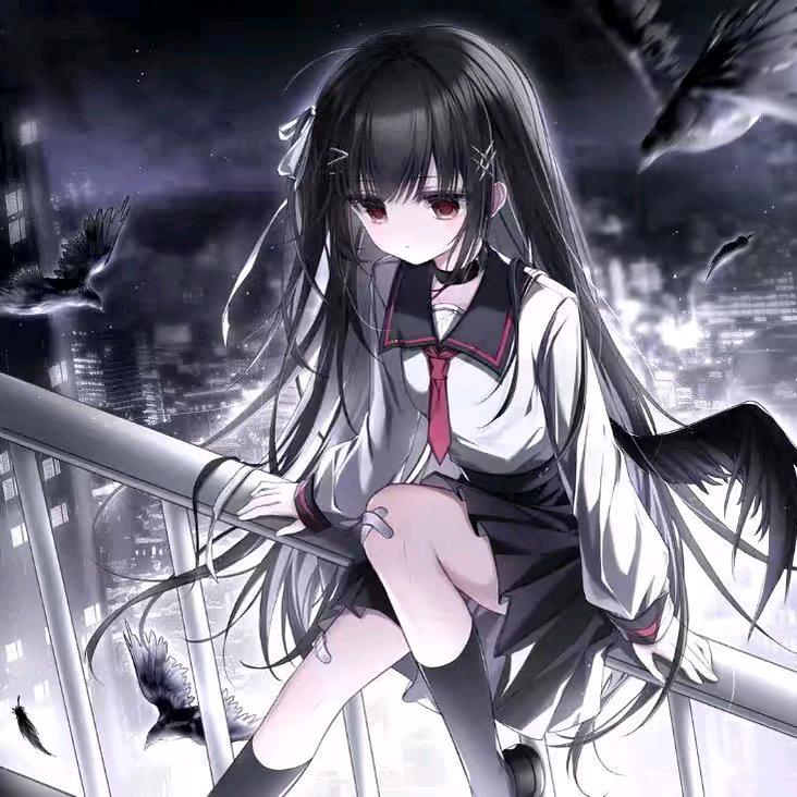 锦宝