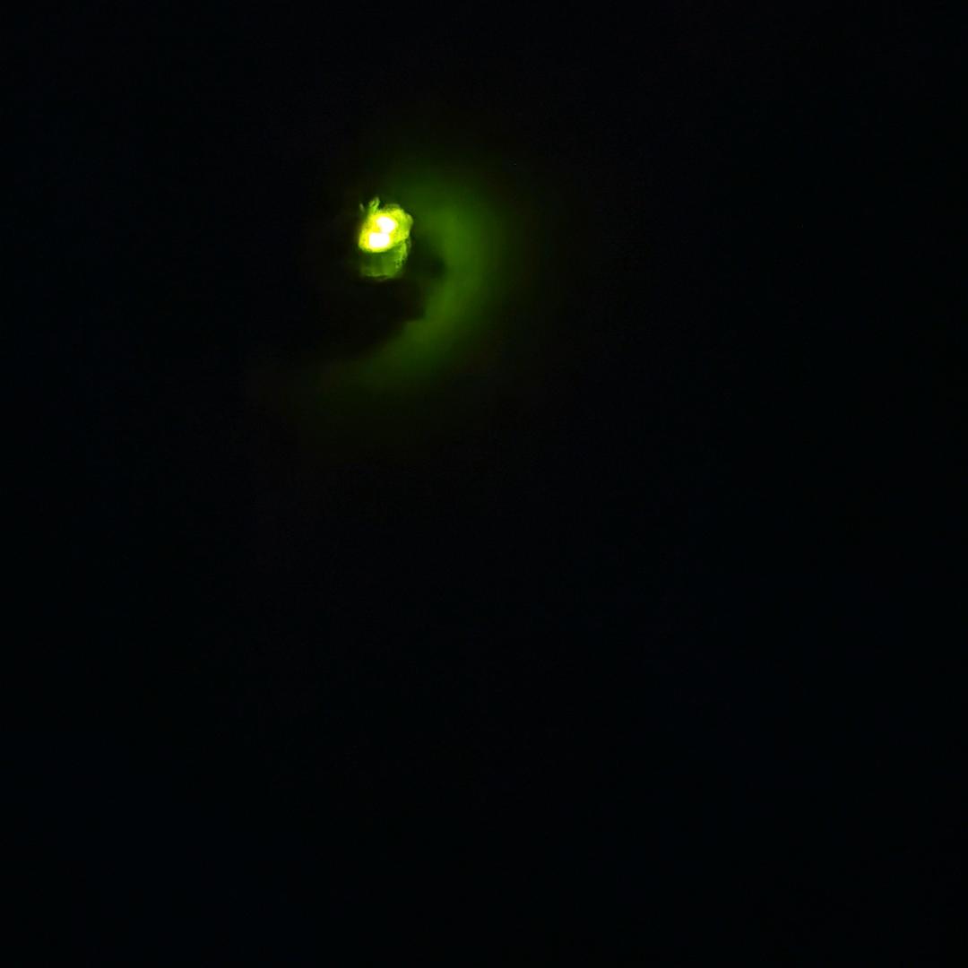 妈妈说名字太长会有猪头来帮你读