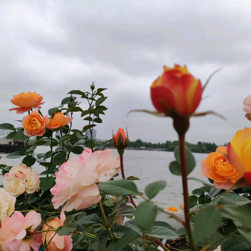 海澜