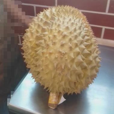 净化器源头工厂