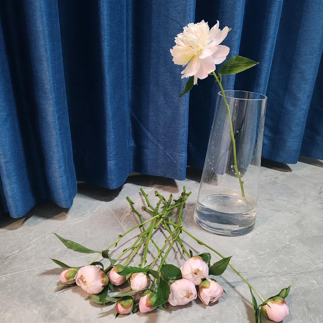 蓝色小花