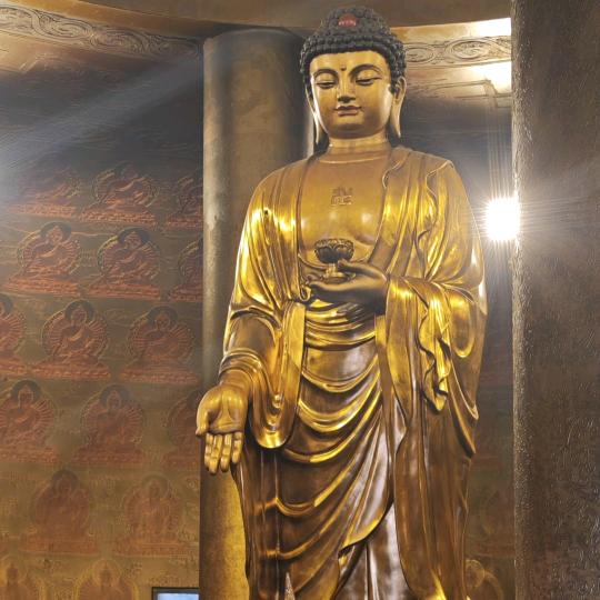 大哥哥dadidi