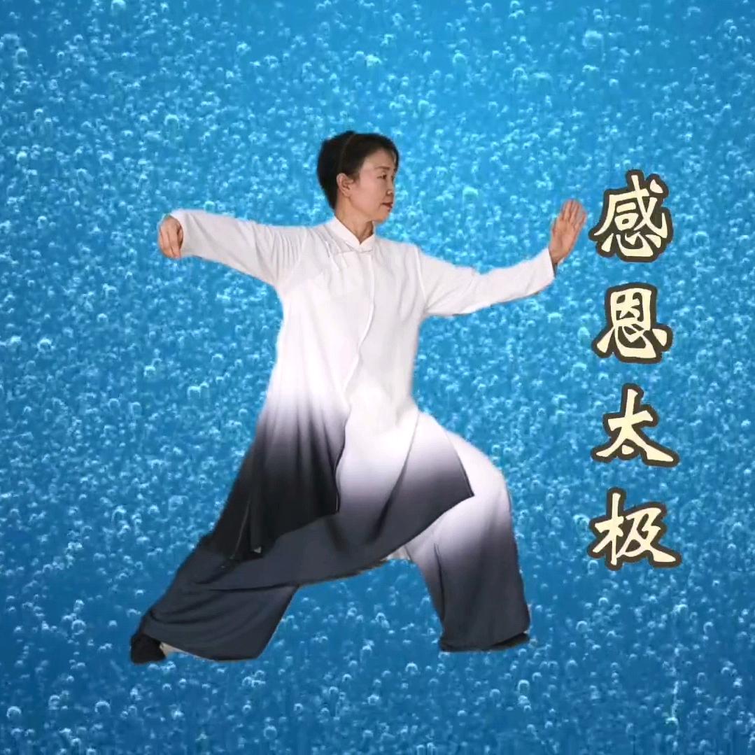 感恩太极-清荷1588