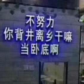 傾盡年華終是夢