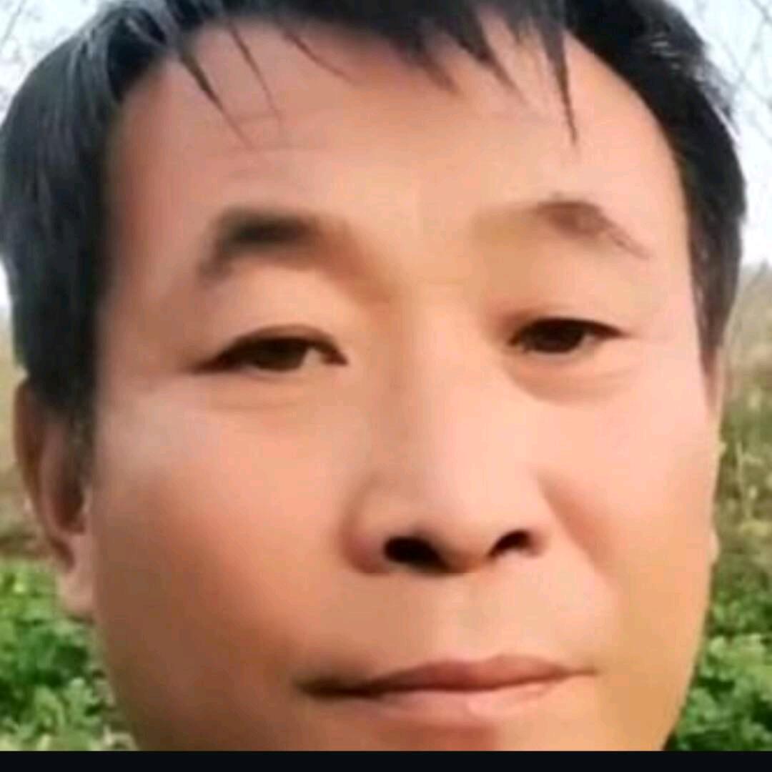 离婚男人专业收购木材