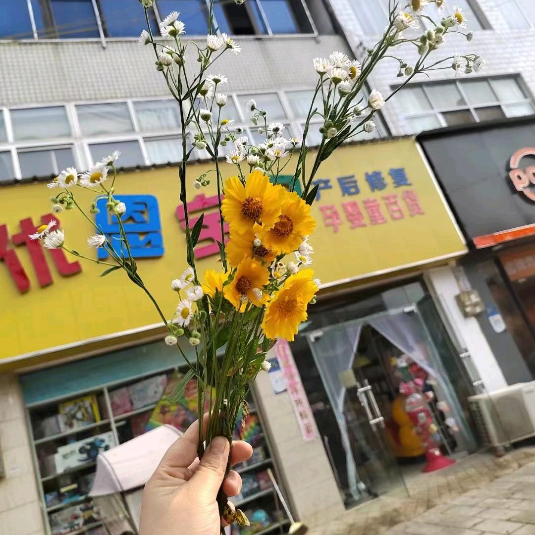 卖奶粉的娟姐吖，三店店