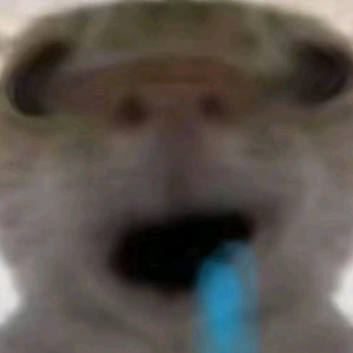 起司白鼠
