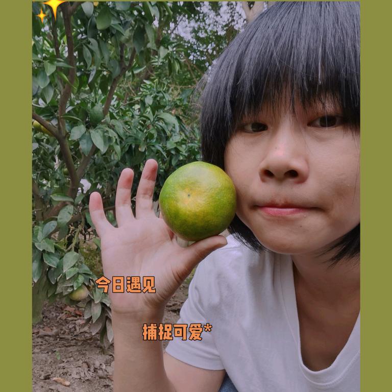 蛙旅味 活宝•甄选