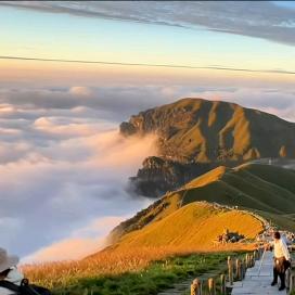 向往草原和高山