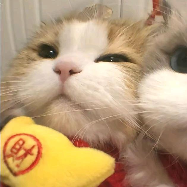 铅色诗