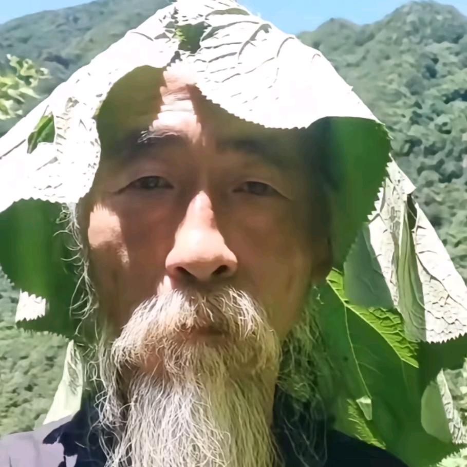 念头通达