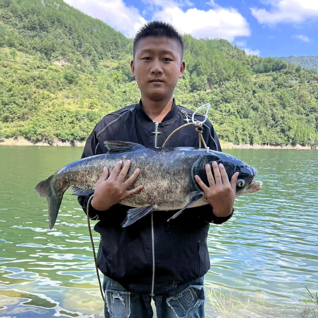 浮钓鲢鳙-小二郎🎣