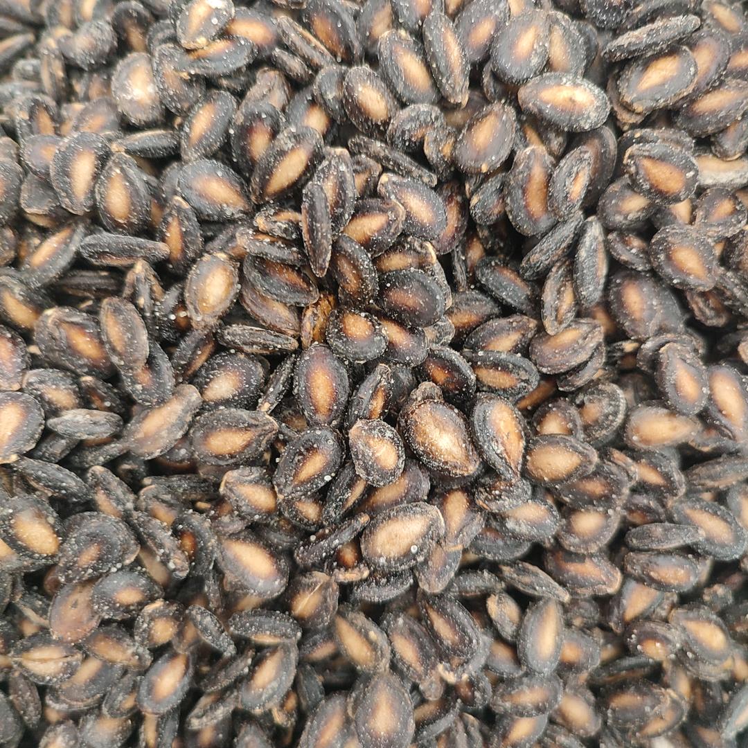 陈英英👾乡下西瓜子，生熟都有🌻
