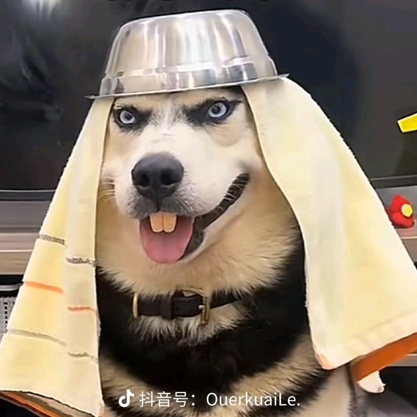 🌈社会牌显眼包