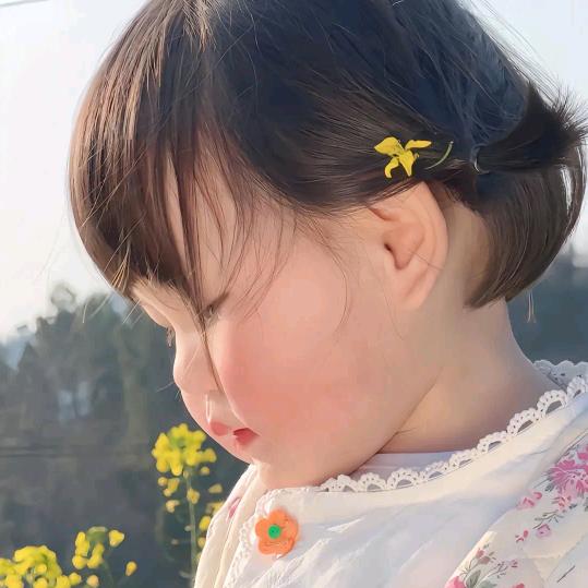 AD.概（存米版）