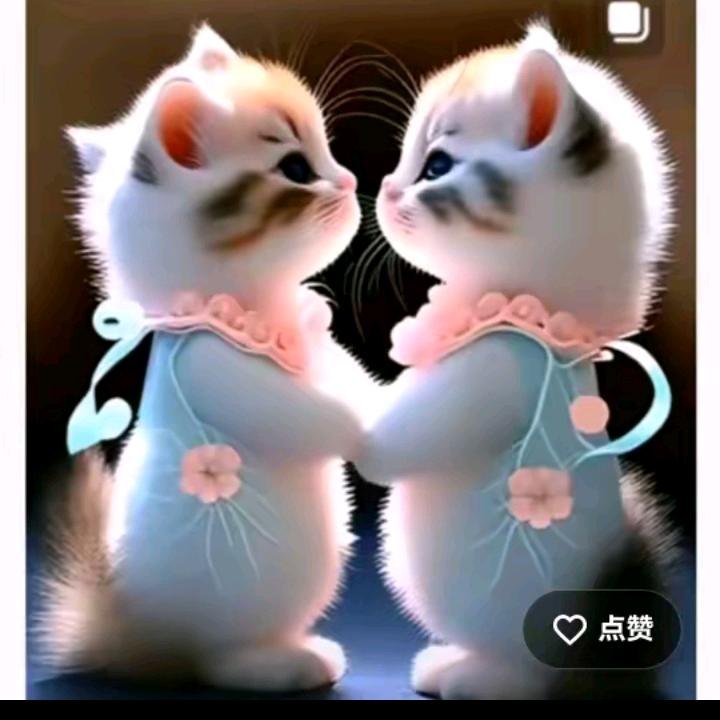 爱吃鱼的猫