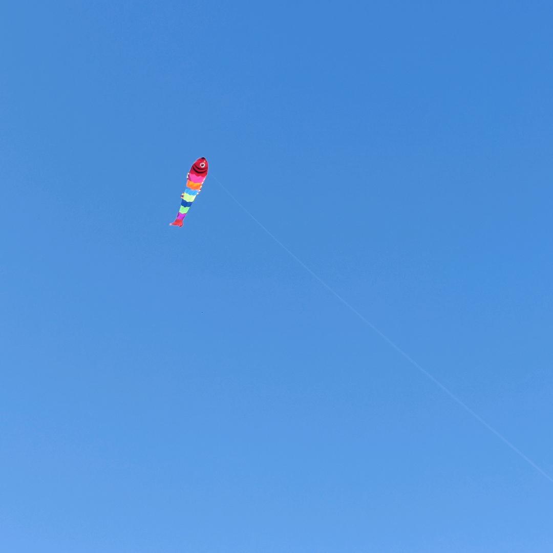 沙发土豆(硬装阶段)