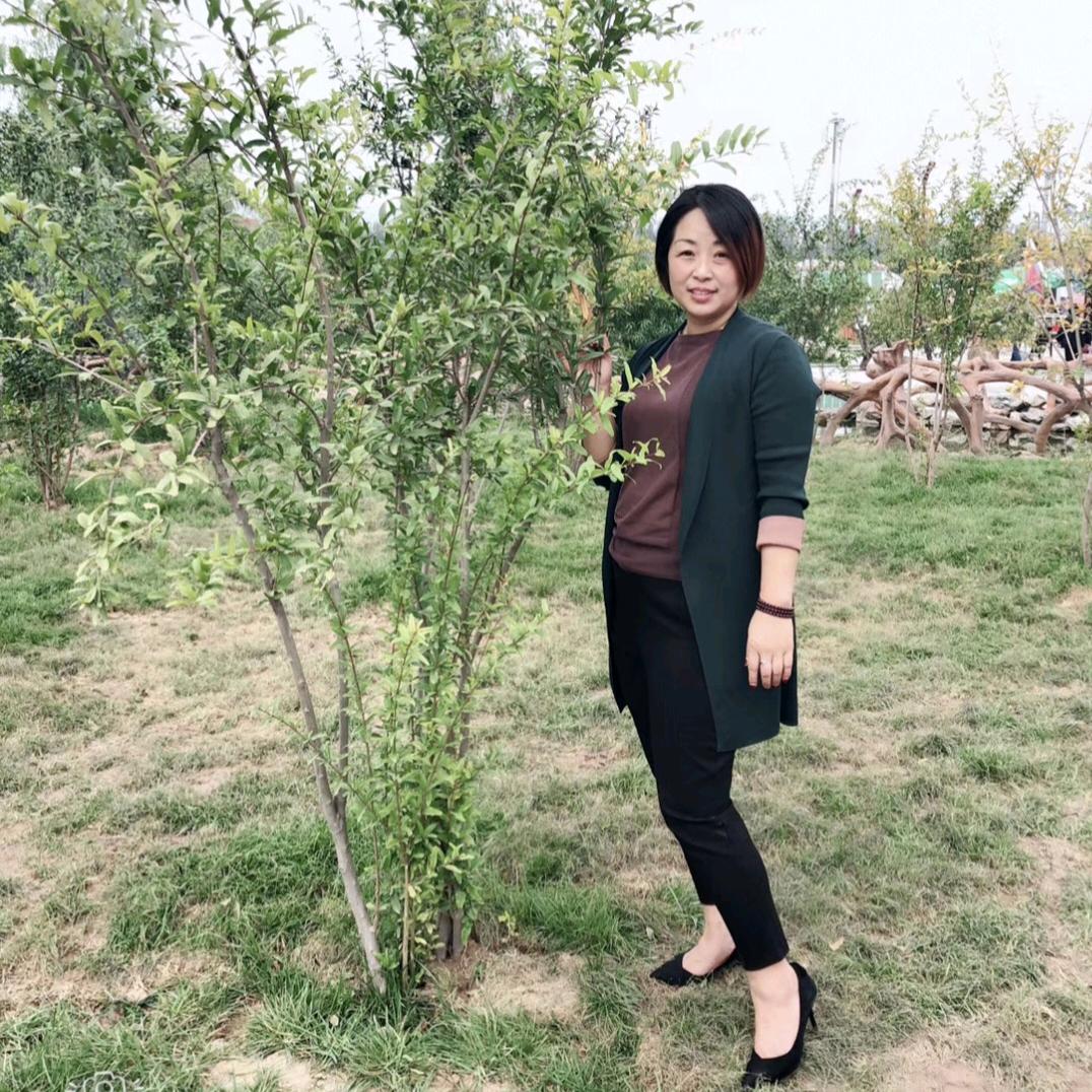 槐芽毛娟