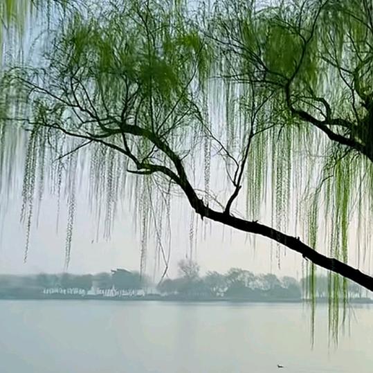 孙姊妹