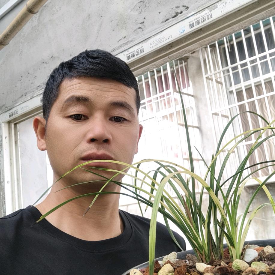 超哥园艺店