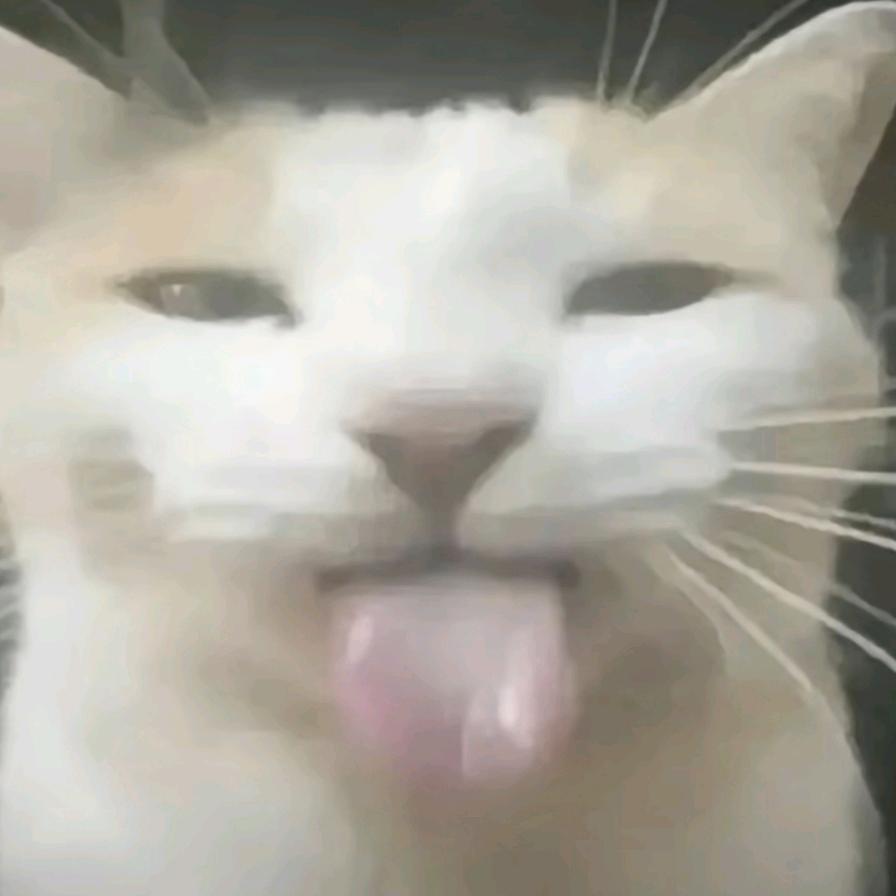 左佐君o_O?