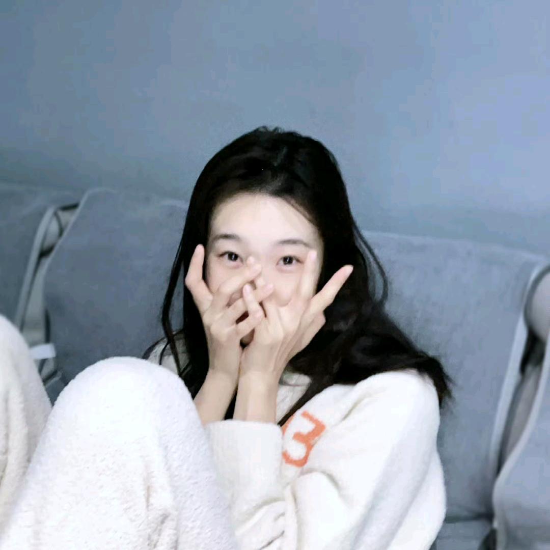 呆呆熊