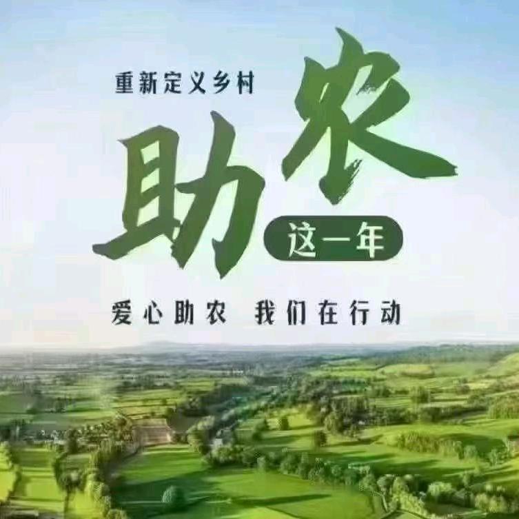 生意便民岱郭超