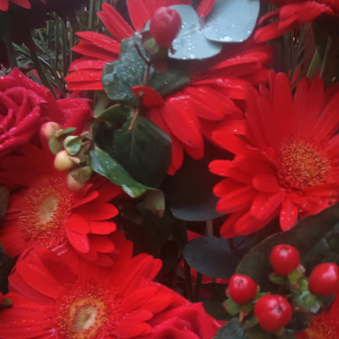 春花
