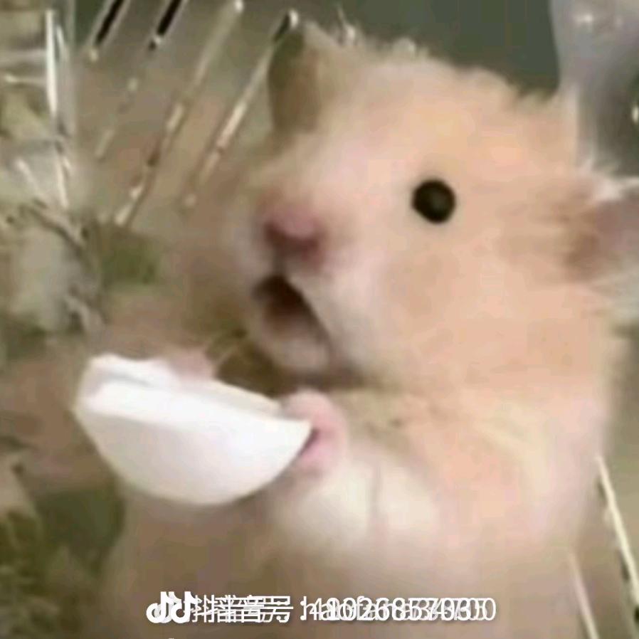 卡卡罗特