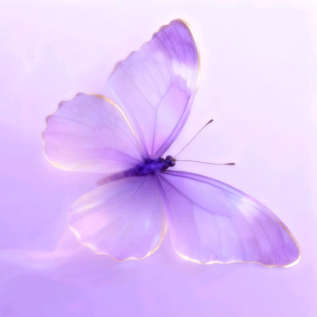 77 /•᷅•᷄\୭