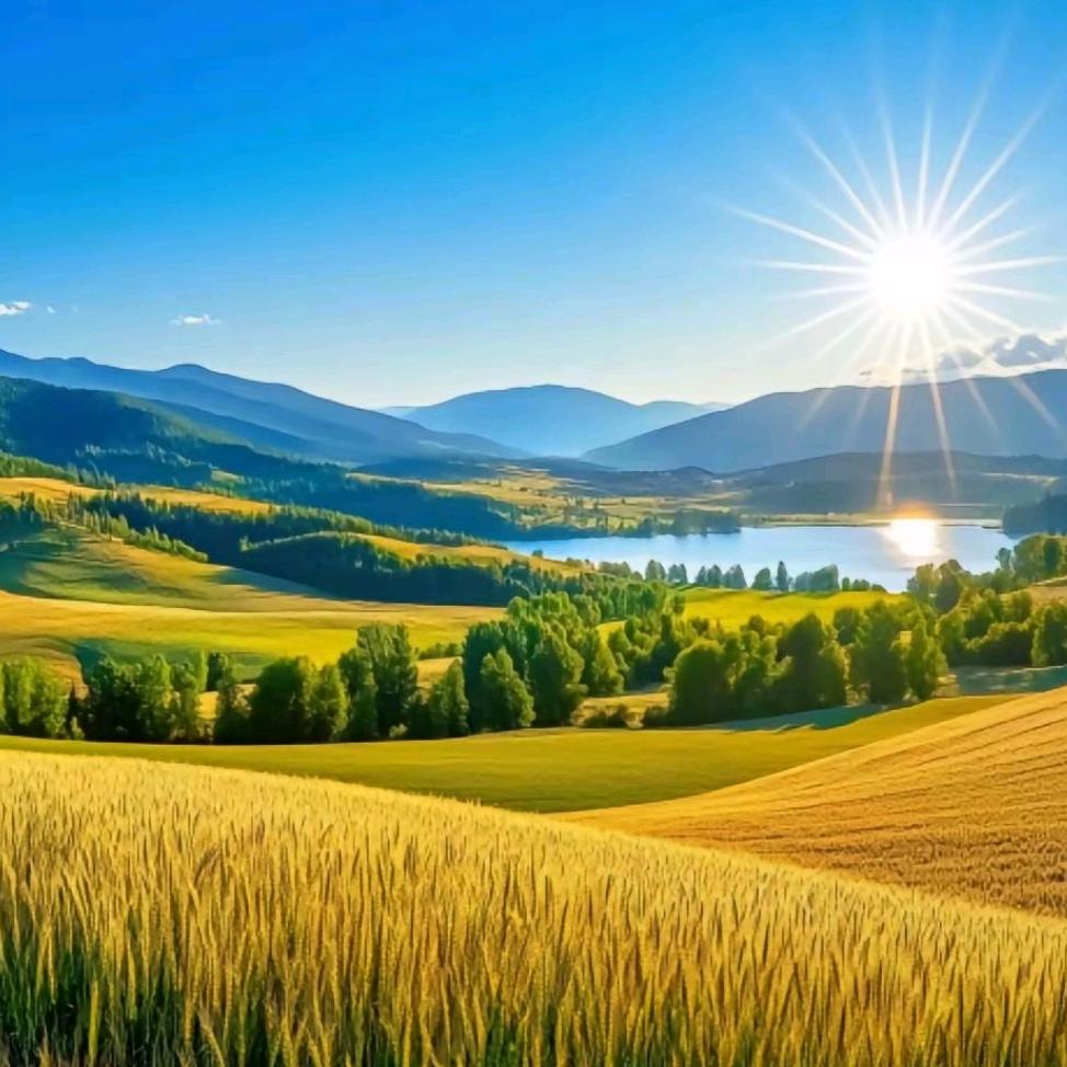 A哞哞牛酸奶紫米露店